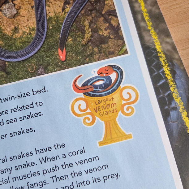 Editorial Illustration of Blue Coral Snake for Chickadee Magazine, found in the March/April 2026.
