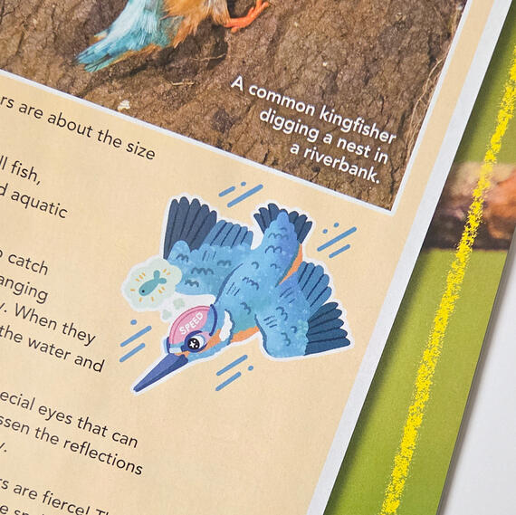 Editorial Illustration drawn for Chickadee Magazine, found in the November 2025 Issue on page 7.