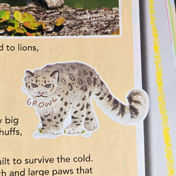 Spot Illustration of a Snow Leopard drawn for Chickadee Magazine, found in the January/ February 2026 Issue .