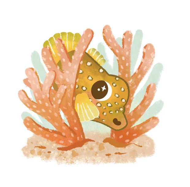 Box Fish for Chickadee Magazine, found in the May 2026 issue.