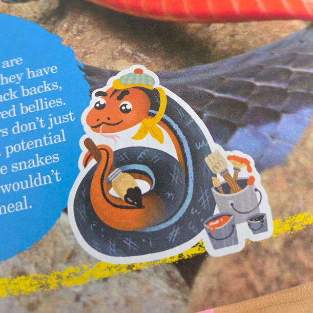 Editorial Illustration of Blue Coral Snake for Chickadee Magazine, found in the March/April 2026.