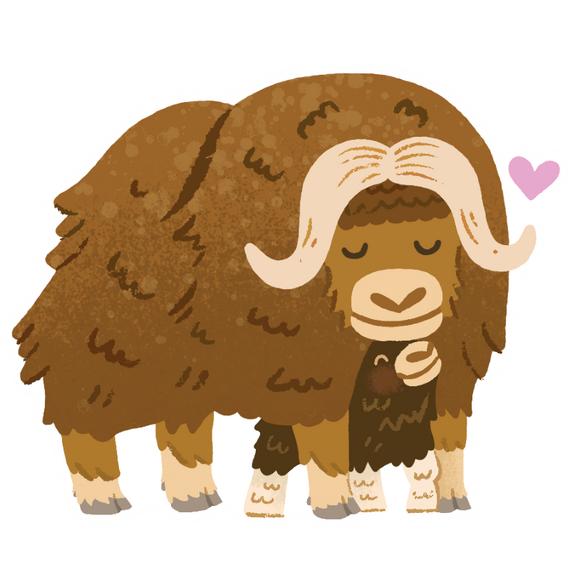 Editorial Illustration of Muskox drawn for Chickadee Magazine, found in the December 2025 Issue on page 6.