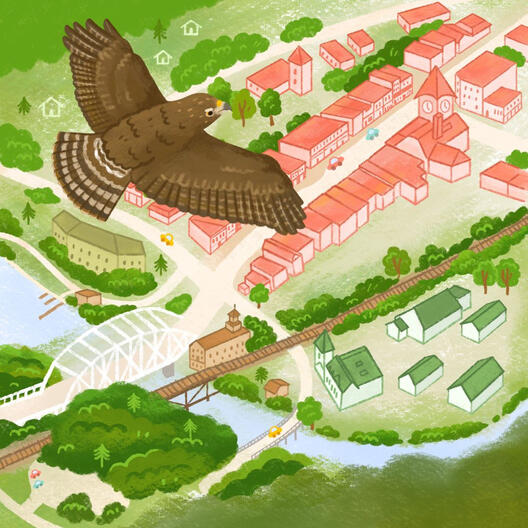 Birds eye view of Bracebridge, Ontario