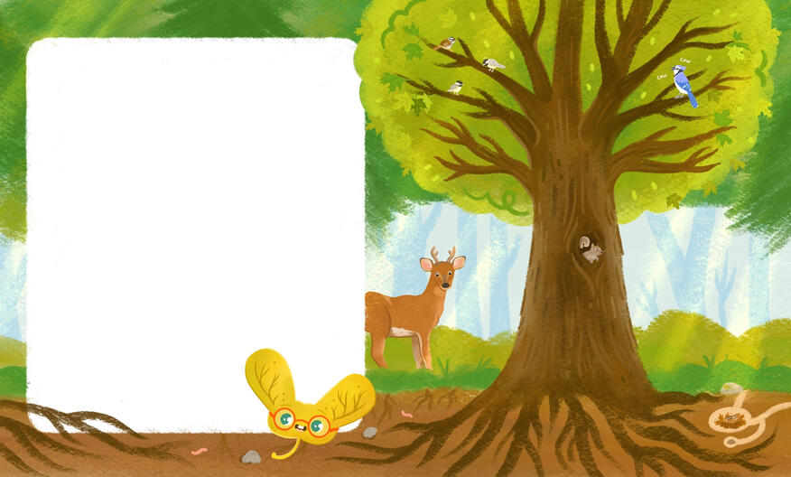 Fourth panel of the Story Book Trail, featuring Chickadee's, a White Throated Sparrow, Bluejay, Squirel, Deer and Chipmunk.