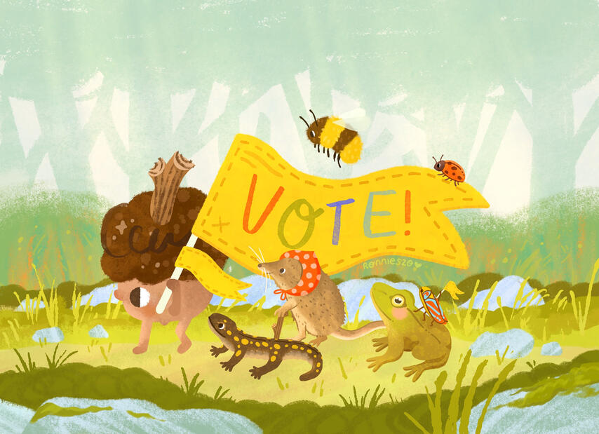 The illustration features an acorn, a Yellow Spotted Salamander,an Eastern Shrew, a Green Frog, a Candy-Stripped Leafhopper, a Bumblebee, and a Ladybug.