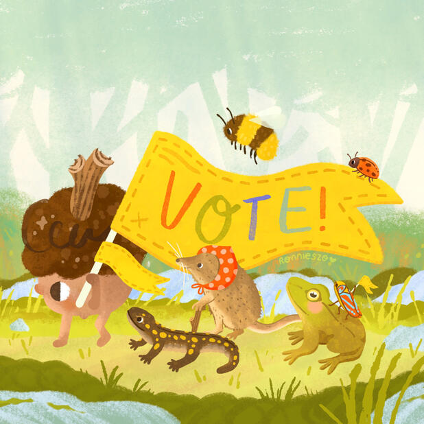 The illustration features an acorn, a Yellow Spotted Salamander,an Eastern Shrew, a Green Frog, a Candy-Stripped Leafhopper, a Bumblebee, and a Ladybug.